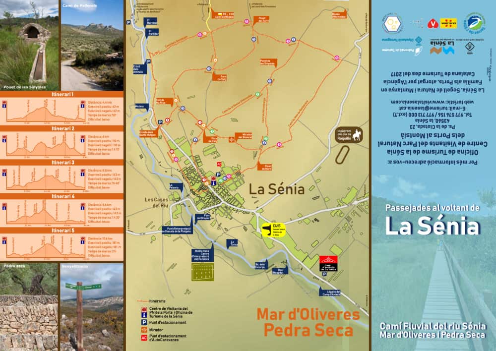 Mar d'oliveres i pedra seca